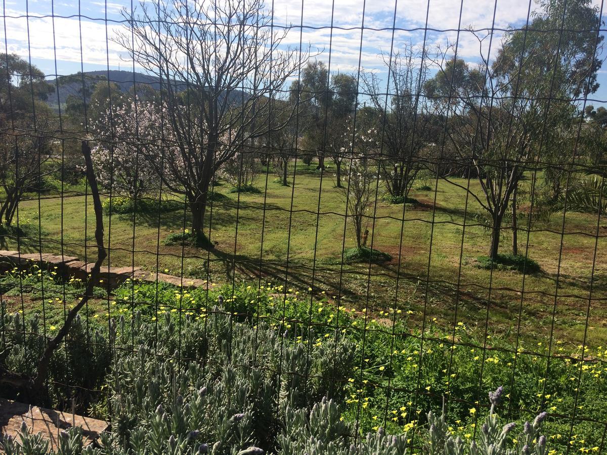 York'S Lookout Lodge Bed And Breakfast ภายนอก รูปภาพ